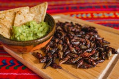 Chapulines, Grasshoppers And Guacamole Snack Traditional Mexican Cuisine From Oaxaca Mexico Royalty Free Stock Image