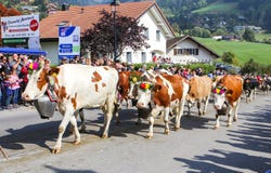 CHARMEY, SUISSE - 29 SEPTEMBRE 2018 : vaches décorées des fleurs marchant sur la rue de Charmey au festival annuel de Desalpe photographie stock libre de droits CHARMEY, SUISSE - 29 SEPTEMBRE 2018 : vaches décorées des fleurs marchant sur la rue de Charmey au festival annuel de Desalpe photographie stock libre de droits