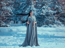 Charming attractive lady in snowy forest, militant elf princess with black long flying hair holds sword, loose gray warm stock photo Charming attractive lady in snowy forest, militant elf princess with black long flying hair holds sword, loose gray warm stock photo