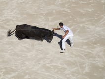 Chased by the bull Stock Photography Chased by the bull Stock Photography