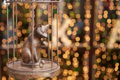Chat forgé dans une cage sur le fond des lumières lumineuses de bokeh de defocus images libres de droits Chat forgé dans une cage sur le fond des lumières lumineuses de bokeh de defocus images libres de droits