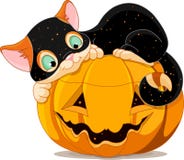 Chaton de Halloween illustration stock Chaton de Halloween illustration stock