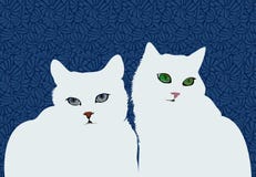 Chats blancs sur le fond bleu-foncé Photo libre de droits Chats blancs sur le fond bleu-foncé Photo libre de droits