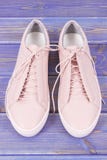 Chaussures en cuir féminines sur de vieux conseils pourpres Image libre de droits Chaussures en cuir féminines sur de vieux conseils pourpres Image libre de droits