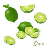 Chaux avec des feuilles de vert d'isolement sur l'illustration blanche de vecteur de fond illustration libre de droits Chaux avec des feuilles de vert d'isolement sur l'illustration blanche de vecteur de fond illustration libre de droits
