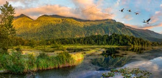 Cheam Lake Wetlands Regional Park, Rosedale, British Columbia, C stock photography Cheam Lake Wetlands Regional Park, Rosedale, British Columbia, C stock photography