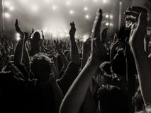 Cheering fans at a concert royalty free stock images Cheering fans at a concert royalty free stock images