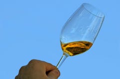 Cheers ! Royalty Free Stock Photo Cheers ! Royalty Free Stock Photo
