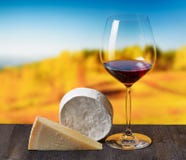 Cheese and glass of wine on nature background royalty free stock photo Cheese and glass of wine on nature background royalty free stock photo