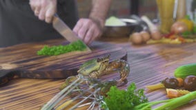 Chef cook preparing ingredient for cooking seafood in italian restaurant. Cook catching live crab for cooking in seafood stock footage Chef cook preparing ingredient for cooking seafood in italian restaurant. Cook catching live crab for cooking in seafood stock footage