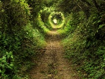 Chemin enchanté de tunnel dans la forêt Chemin enchanté de tunnel dans la forêt