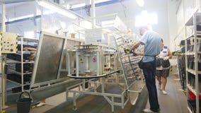 16 10 2018 - Chernivtsi, Ukraine Arbeitskräfte stellen Autoverdrahtung an der Fabrik her stock video 16 10 2018 - Chernivtsi, Ukraine Arbeitskräfte stellen Autoverdrahtung an der Fabrik her stock video