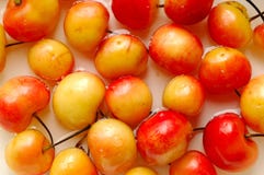 cherry obrazy stock cherry obrazy stock
