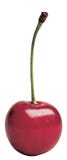 Cherry Cherry
