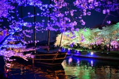 Cherry Blossom-Fantasie und ein Schiff lizenzfreie stockfotografie Cherry Blossom-Fantasie und ein Schiff lizenzfreie stockfotografie