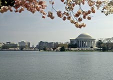 Cherry Blossoms And Jefferson Memorial Stock Photos Cherry Blossoms And Jefferson Memorial Stock Photos