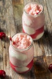 Cherry Kombucha Ice Cream Float doce caseiro imagens de stock Cherry Kombucha Ice Cream Float doce caseiro imagens de stock