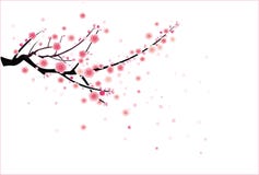 Cherry Or Plum Blossom Pattern Stock Photography Cherry Or Plum Blossom Pattern Stock Photography