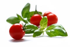 Cherry tomato with basil herb on white background