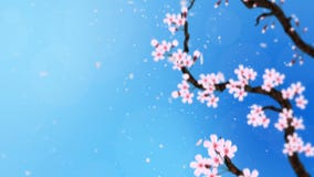 Cherry Tree in Full Bloom. Cherry Branch. Sakura Flowers Pink. Cherry  Blossom Blue Background. CG Loop Animation. Stock Footage - Video of  culture, full: 149312926