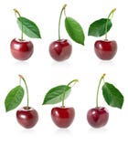 Cherryset royaltyfri fotografi Cherryset royaltyfri fotografi