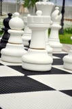Chess Game Stock Photos