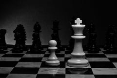Chess. White King and Pawn on the board. stock photography Chess. White King and Pawn on the board. stock photography