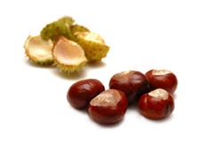 Chestnuts Isolated On White Royalty Free Stock Photos