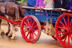 Chevaux de trait tirant le chariot sous la pluie photos libres de droits Chevaux de trait tirant le chariot sous la pluie photos libres de droits