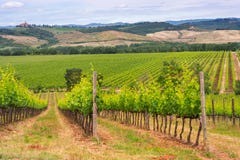 Chianti vineyard landscape in Tuscany royalty free stock photos Chianti vineyard landscape in Tuscany royalty free stock photos