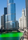 chicago dagpaddy s royaltyfri fotografi chicago dagpaddy s royaltyfri fotografi