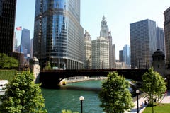Chicago River City View