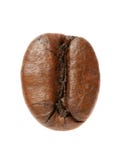 Chicco di caffè Fotografie Stock Chicco di caffè Fotografie Stock