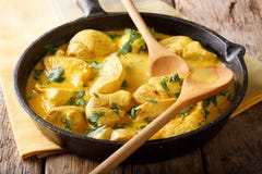 Chicken curry in a sauce of coconut milk close-up. horizontal royalty free stock images Chicken curry in a sauce of coconut milk close-up. horizontal royalty free stock images