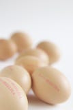 Chicken Eggs. Stock Photo