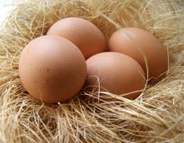 Chicken Eggs In A Nest Royalty Free Stock Photos