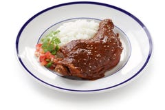 Chicken mole, mexican cuisine stock photo Chicken mole, mexican cuisine stock photo