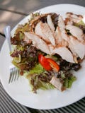 Chicken salad royalty free stock photos Chicken salad royalty free stock photos