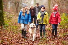 Chien de marche de famille par la région boisée d'hiver photos libres de droits Chien de marche de famille par la région boisée d'hiver photos libres de droits