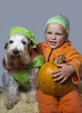 Chien et enfant mignons avec le potiron photo libre de droits Chien et enfant mignons avec le potiron photo libre de droits