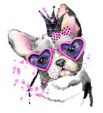 Chien mignon Graphiques de T-shirt de chien Chien mignon Graphiques de T-shirt de chien