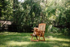 Chien Nova Scotia Duck Tolling Retriever se situant dans le jardin Photos libres de droits Chien Nova Scotia Duck Tolling Retriever se situant dans le jardin Photos libres de droits