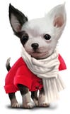 Chihuahua watercolor painting stock illustration Chihuahua watercolor painting stock illustration