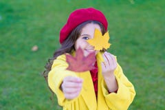 Child with autumn maple leaves walk. Autumn coziness is just around. Little girl excited about autumn season. Autumn stock photo Child with autumn maple leaves walk. Autumn coziness is just around. Little girl excited about autumn season. Autumn stock photo