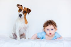 Child Boy With Blue Eyes And His Friend Dog Royalty Free Stock Image