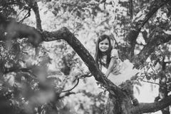 Child Childhood Children Happiness Concept. Child smile on tree branch, childhood Stock Photos Child Childhood Children Happiness Concept. Child smile on tree branch, childhood Stock Photos