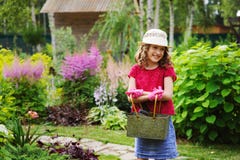 Child girl playing little gardener and helping in summer garden Royalty Free Stock Image Child girl playing little gardener and helping in summer garden Royalty Free Stock Image