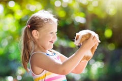 Child with guinea pig. Cavy animal. Kids and pets.