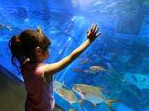 Child In Aquarium Royalty Free Stock Photos