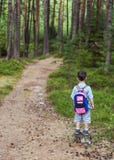 Child On Forest Road Royalty Free Stock Images